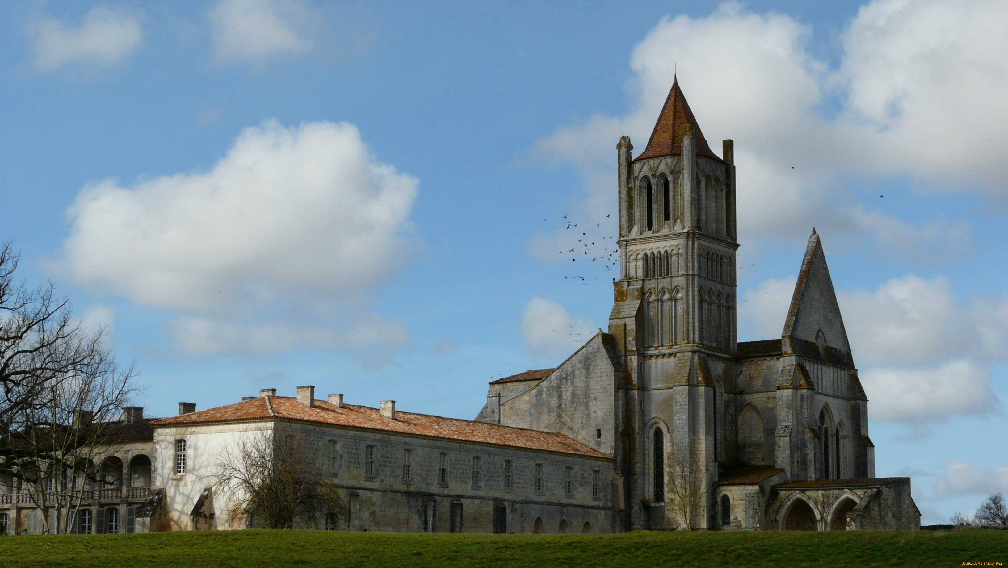 abbaye, de, sablonceaux, , , , , , , , 